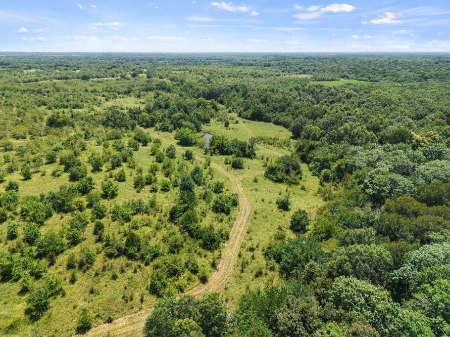 Tbd County Road 3527 Saltillo TX 75478