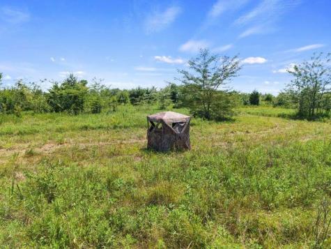 Tbd County Road 3527 Saltillo TX 75478