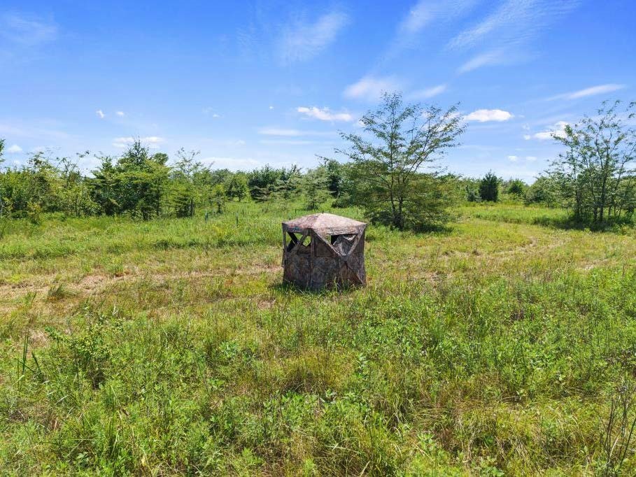 Tbd County Road 3527 Saltillo TX 75478