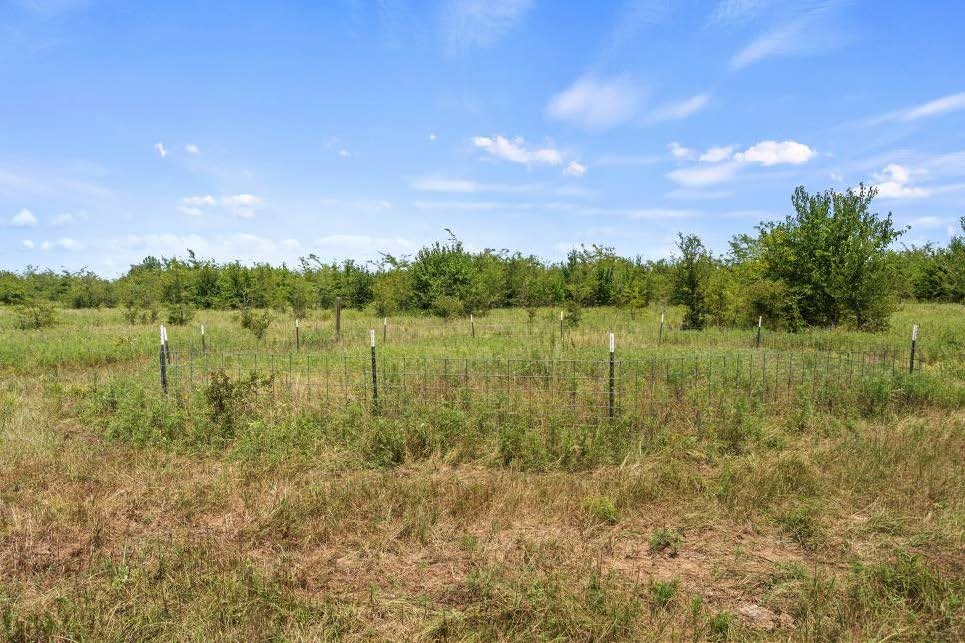 Tbd County Road 3527 Saltillo TX 75478