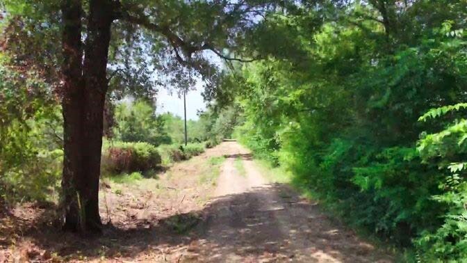 Tbd County Road 3527 Saltillo TX 75478