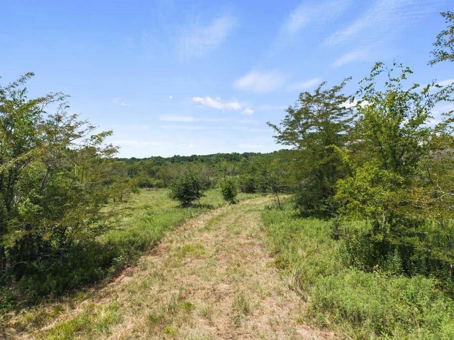 Tbd County Road 3527 Saltillo TX 75478