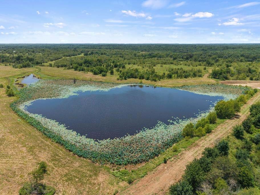 Tbd County Road 3527 Saltillo TX 75478