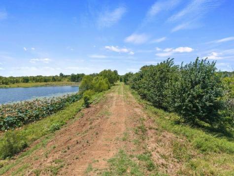 Tbd County Road 3527 Saltillo TX 75478