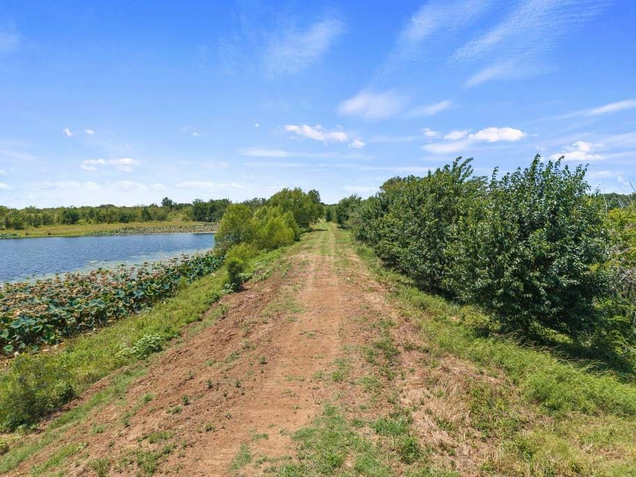 Tbd County Road 3527 Saltillo TX 75478