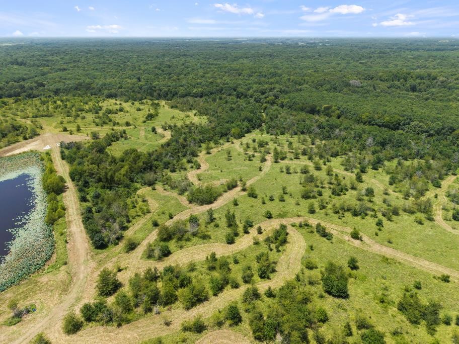 Tbd County Road 3527 Saltillo TX 75478