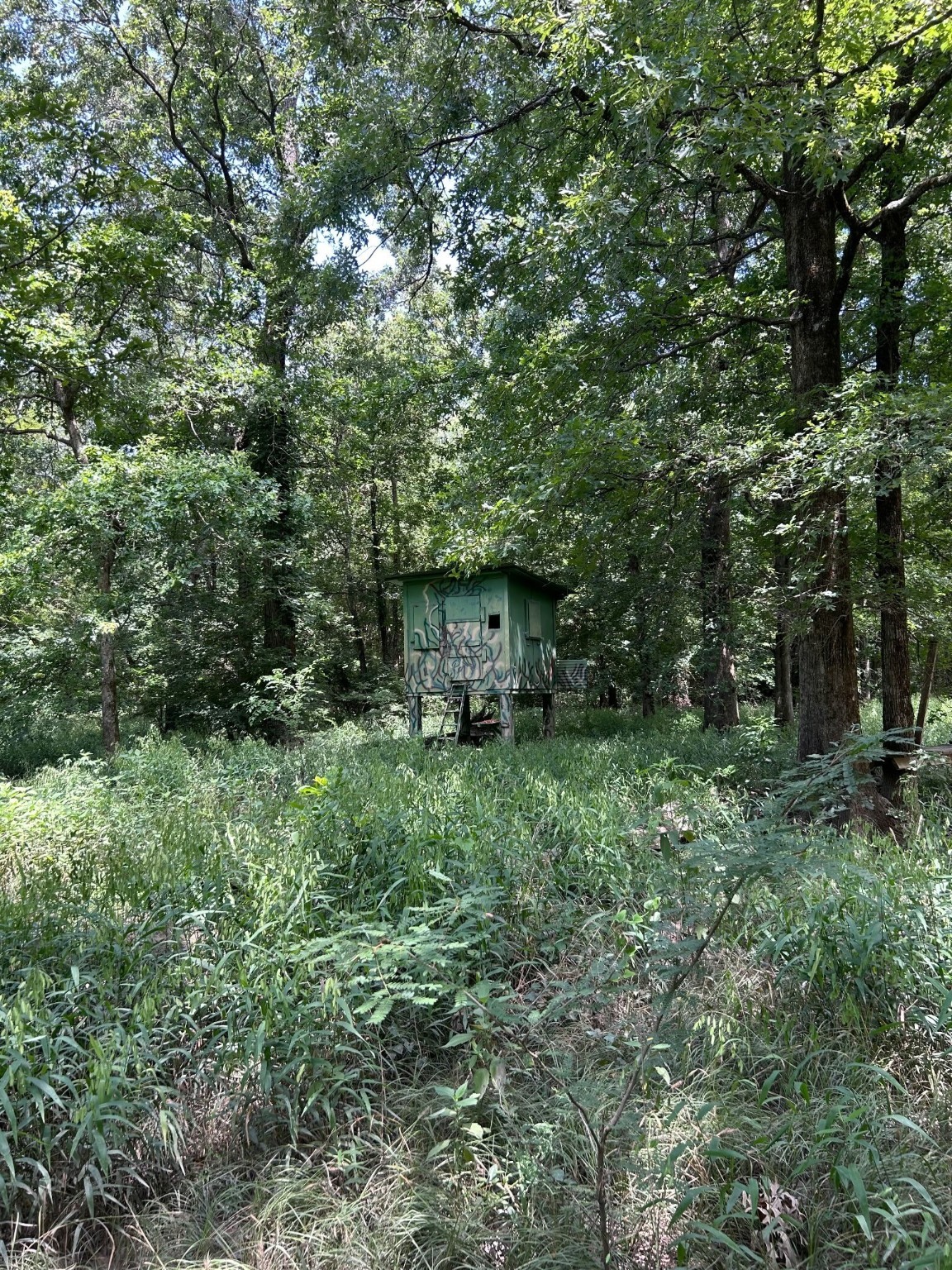 Tbd County Road 3527 Saltillo TX 75478