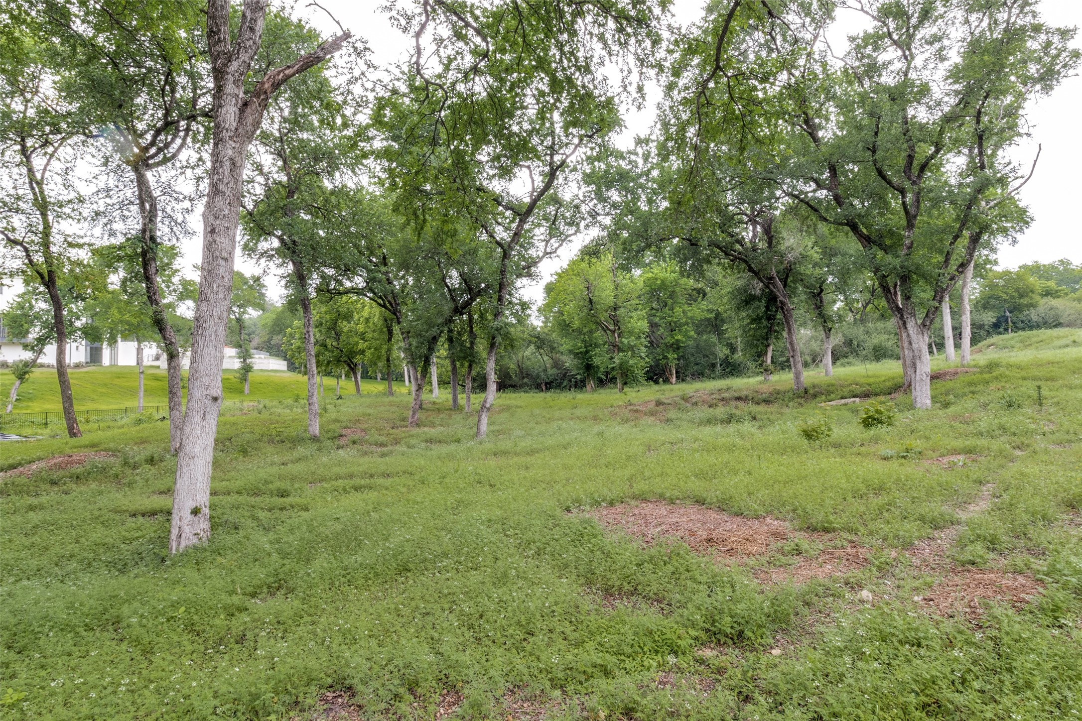 10011 Surrey Oaks Drive Dallas TX 75229