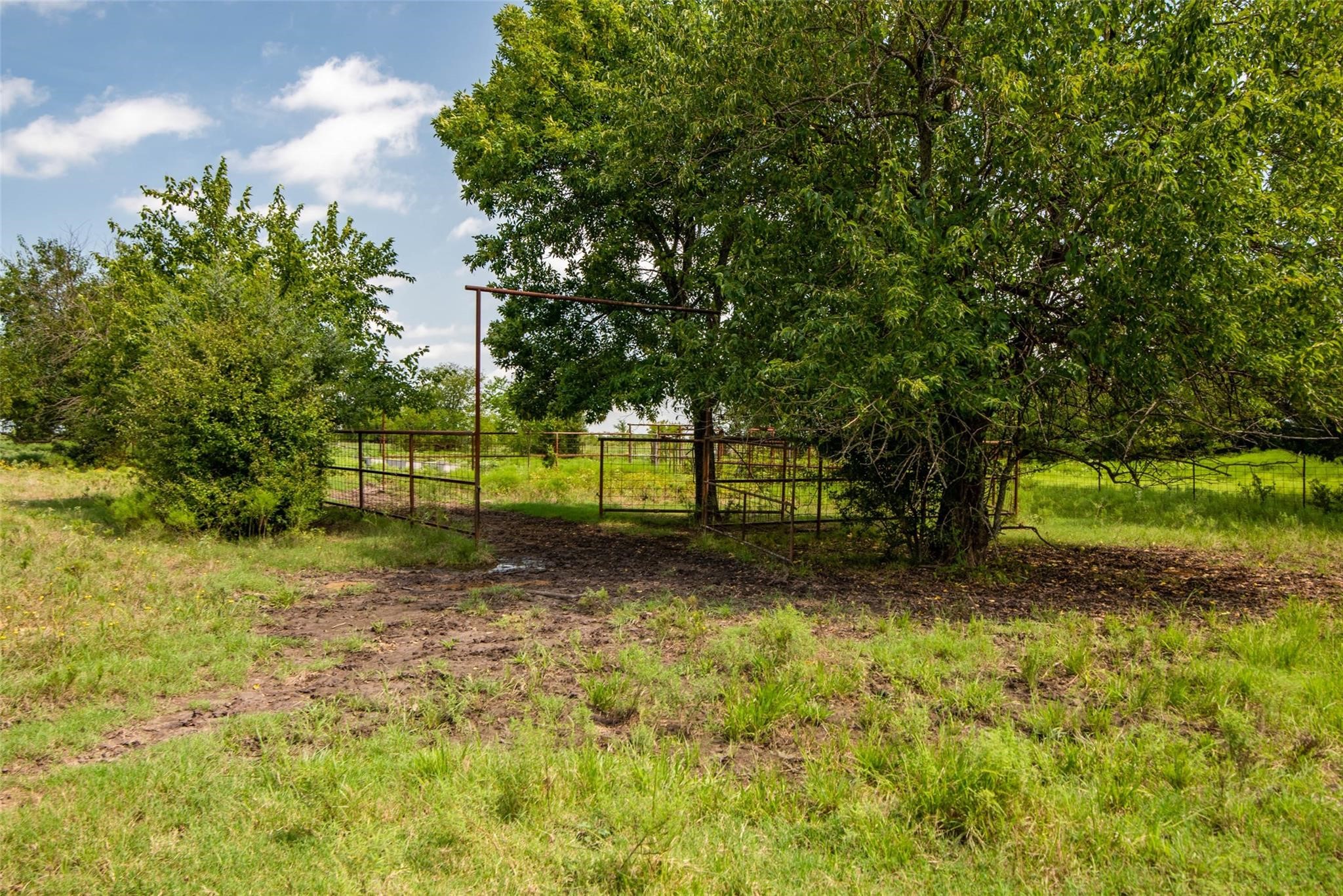 Tbd Highway 82 Ector TX 75439