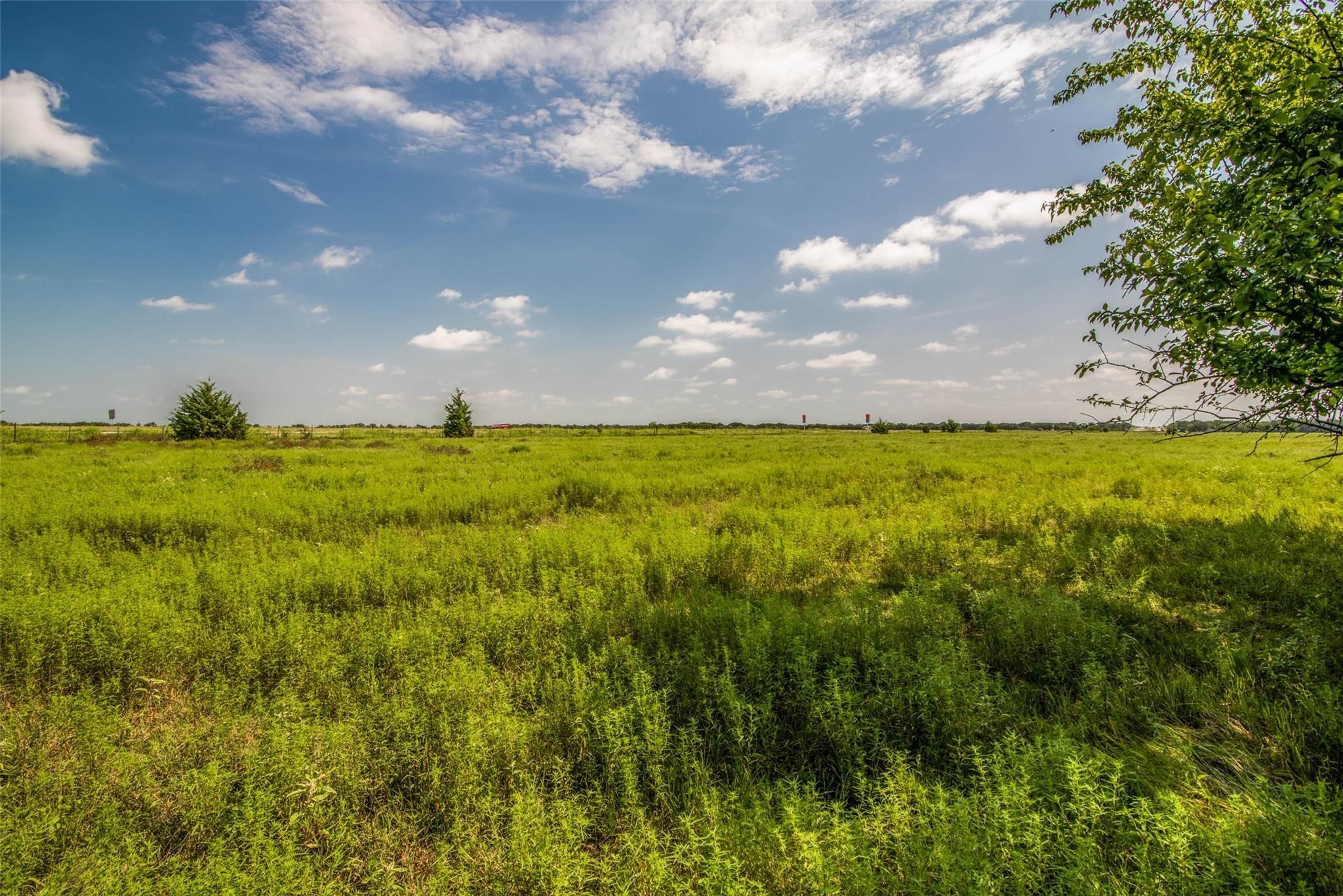 Tbd Highway 82 Ector TX 75439