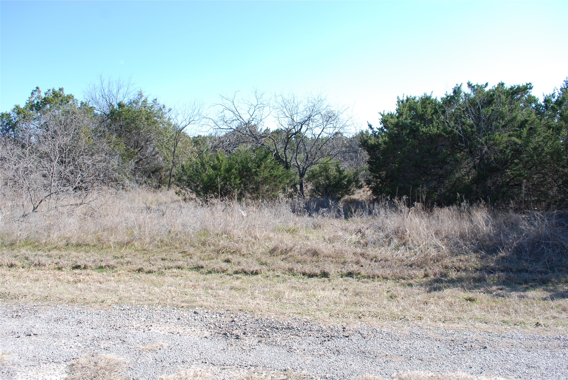 43130 Mountain Sage Drive Whitney TX 76692