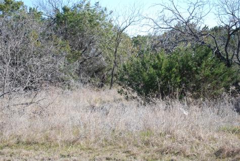 43130 Mountain Sage Drive Whitney TX 76692