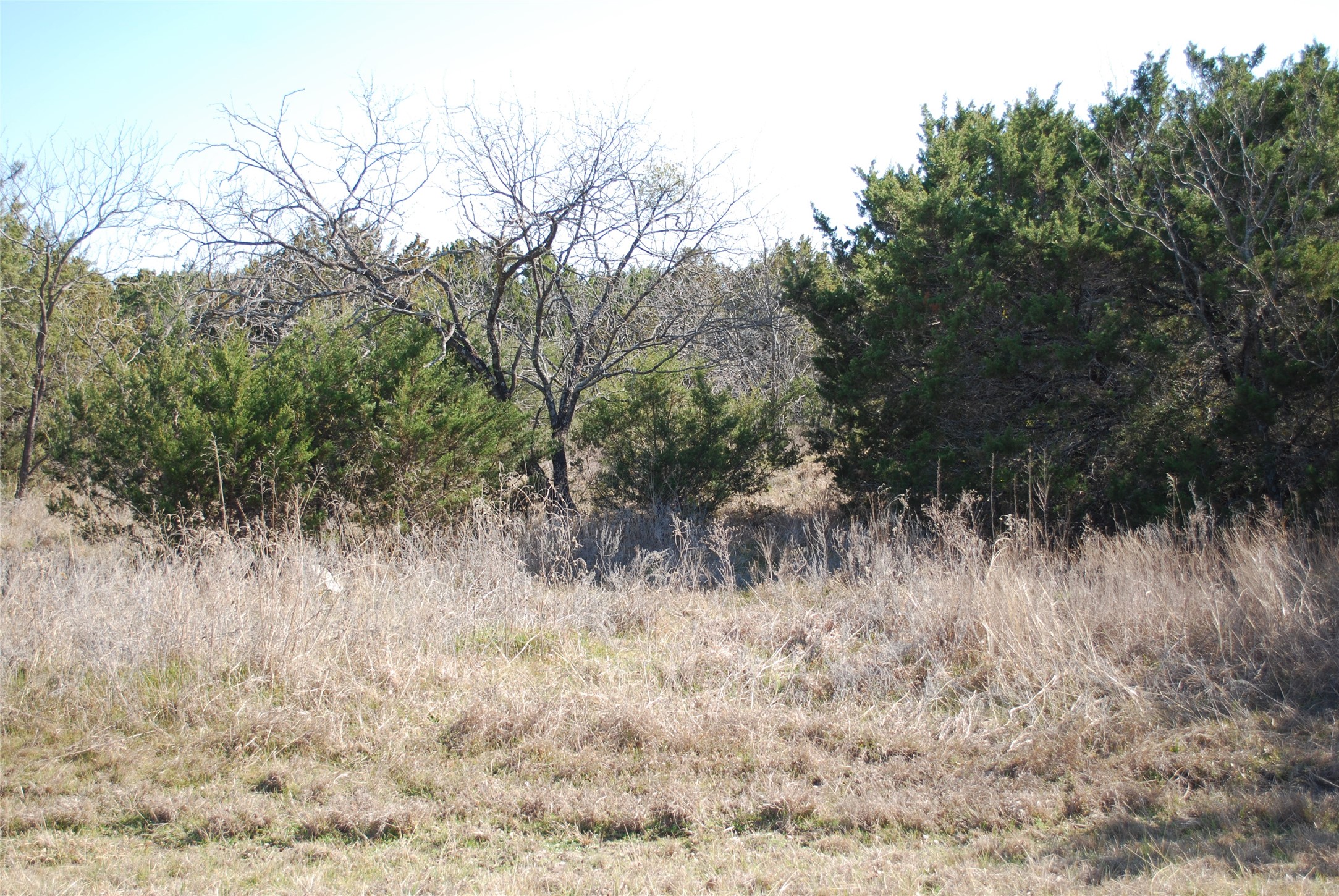 43130 Mountain Sage Drive Whitney TX 76692