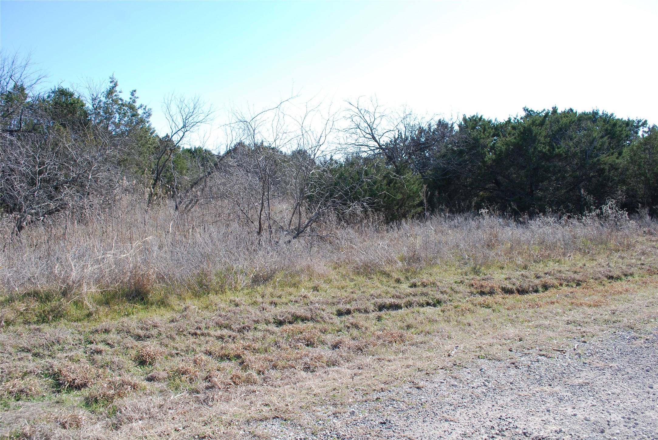 43130 Mountain Sage Drive Whitney TX 76692