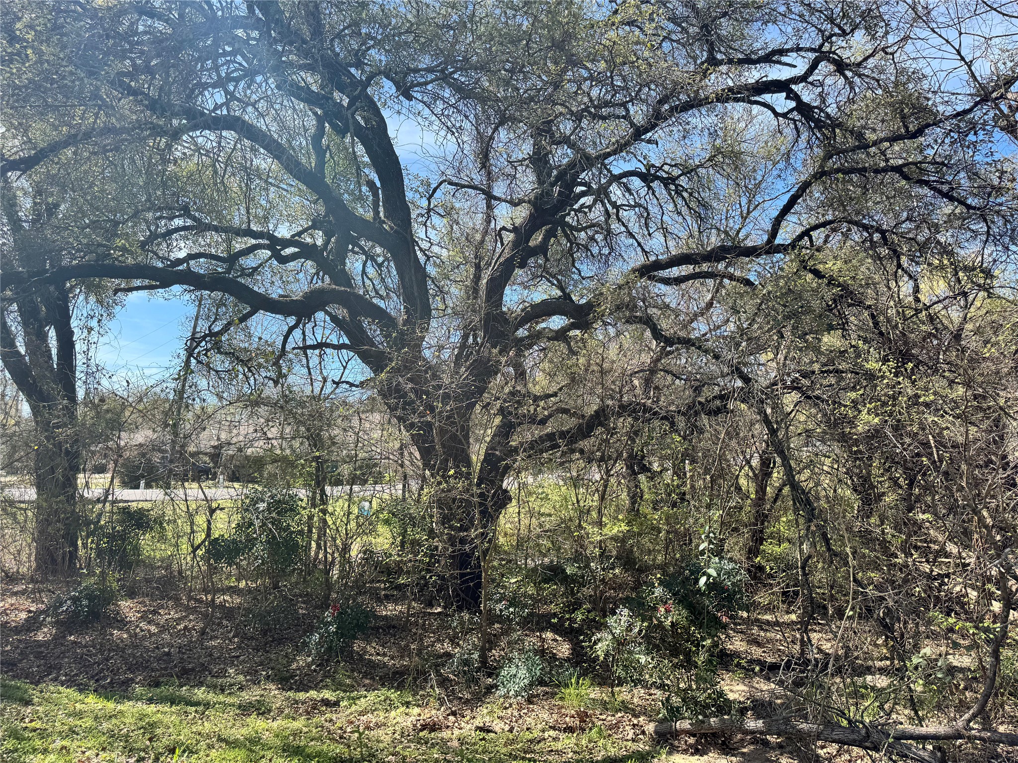 4300 Fairway Drive De Cordova TX 76049