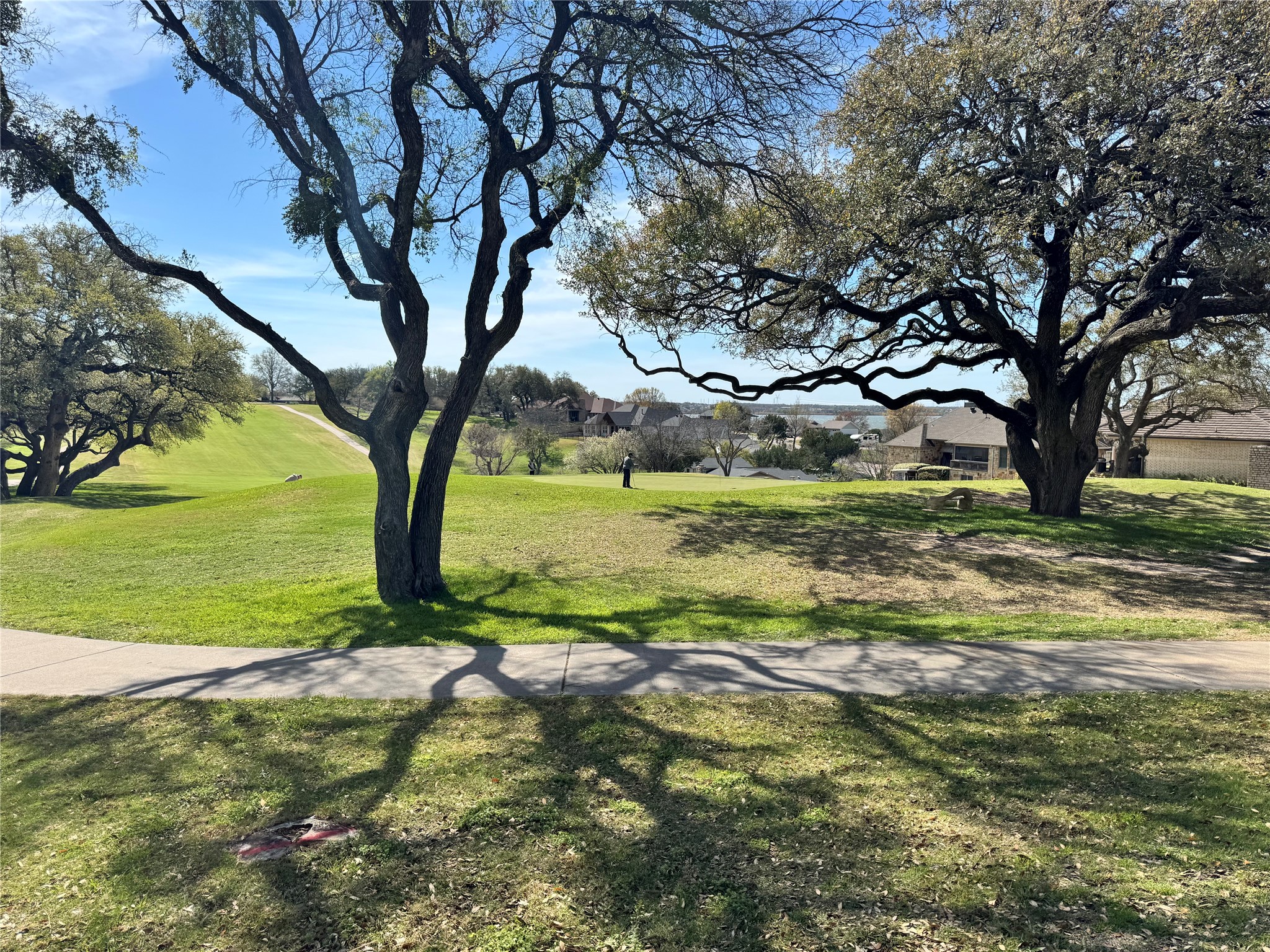 4300 Fairway Drive De Cordova TX 76049