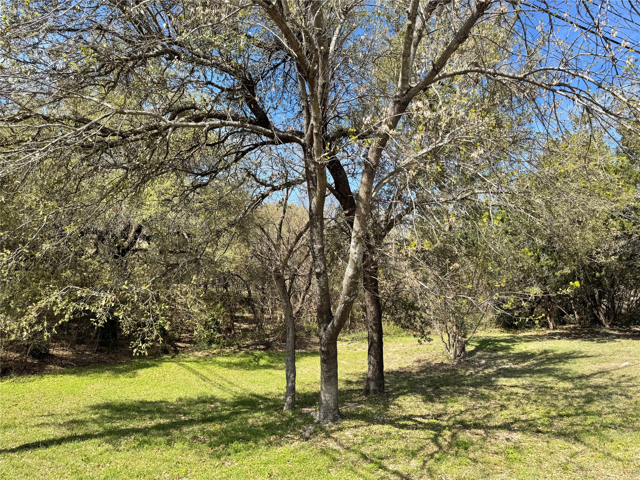 4300 Fairway Drive De Cordova TX 76049
