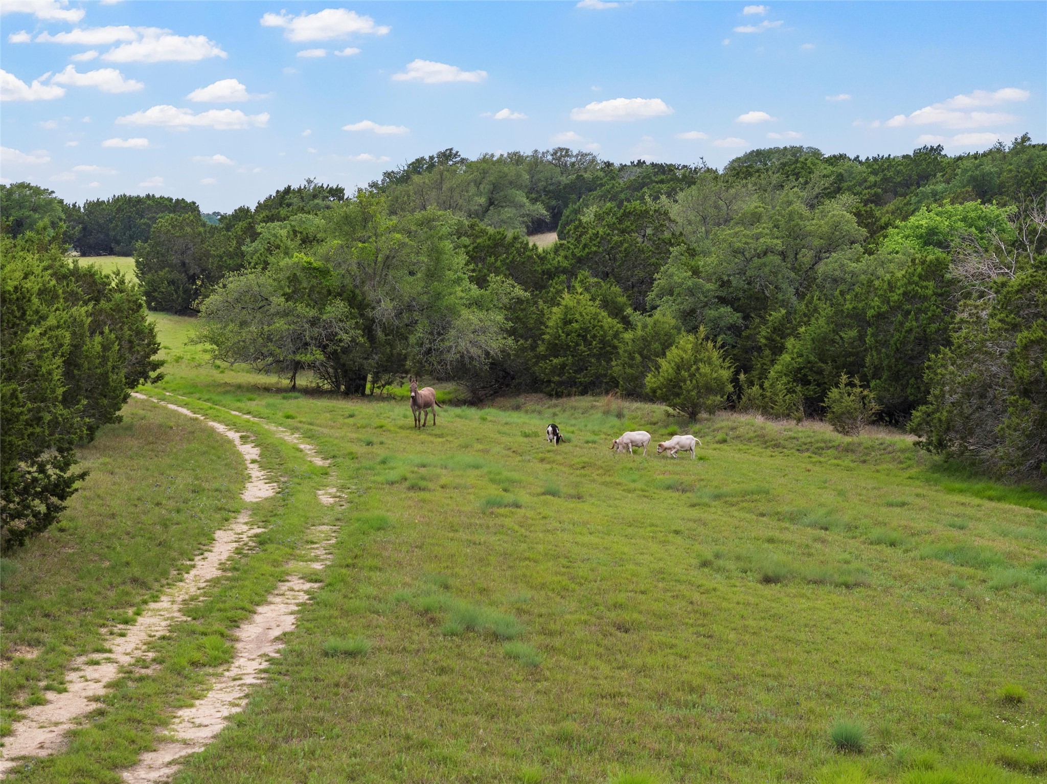 614 County Road 4165 Cranfills Gap TX 76637