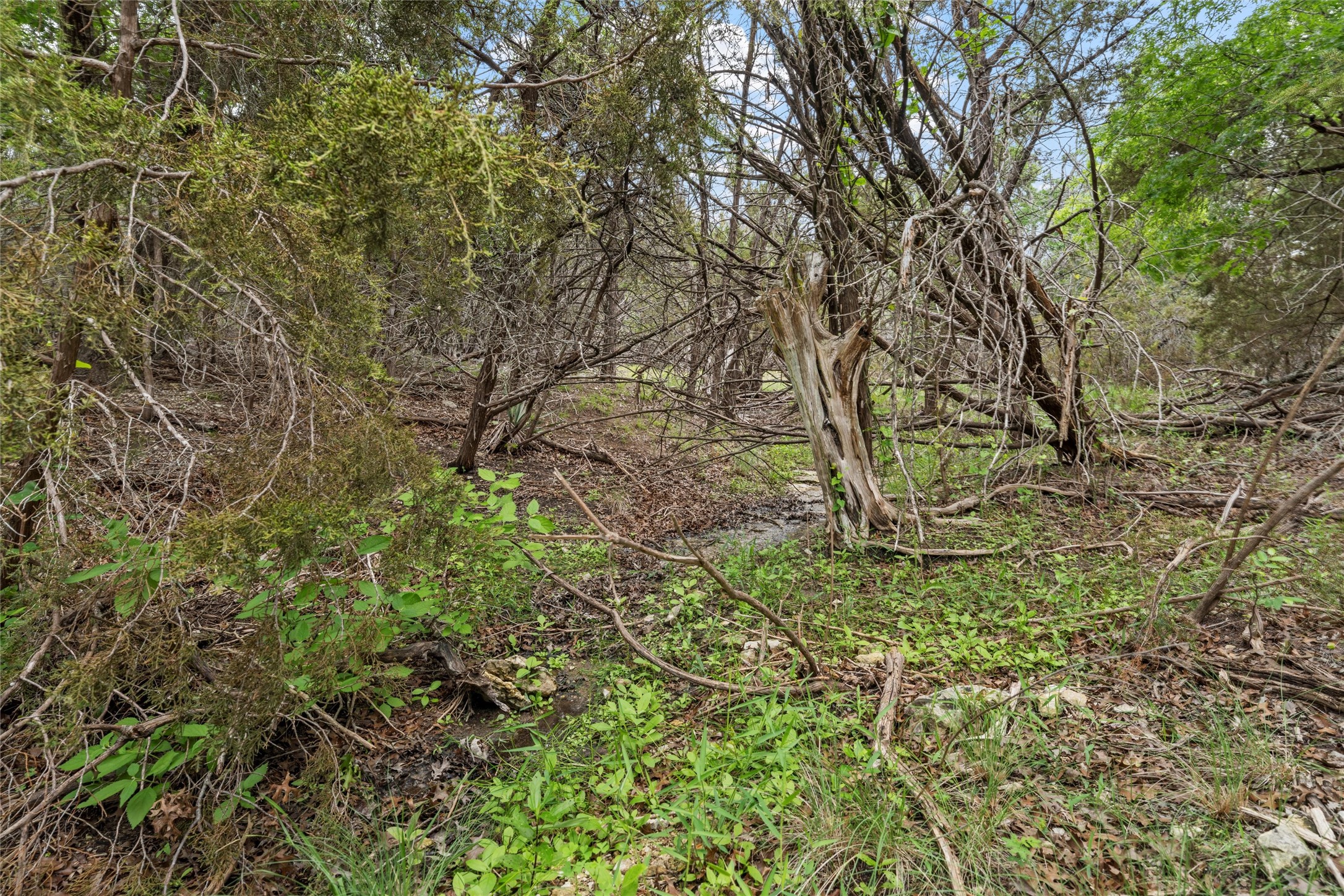 614 County Road 4165 Cranfills Gap TX 76637