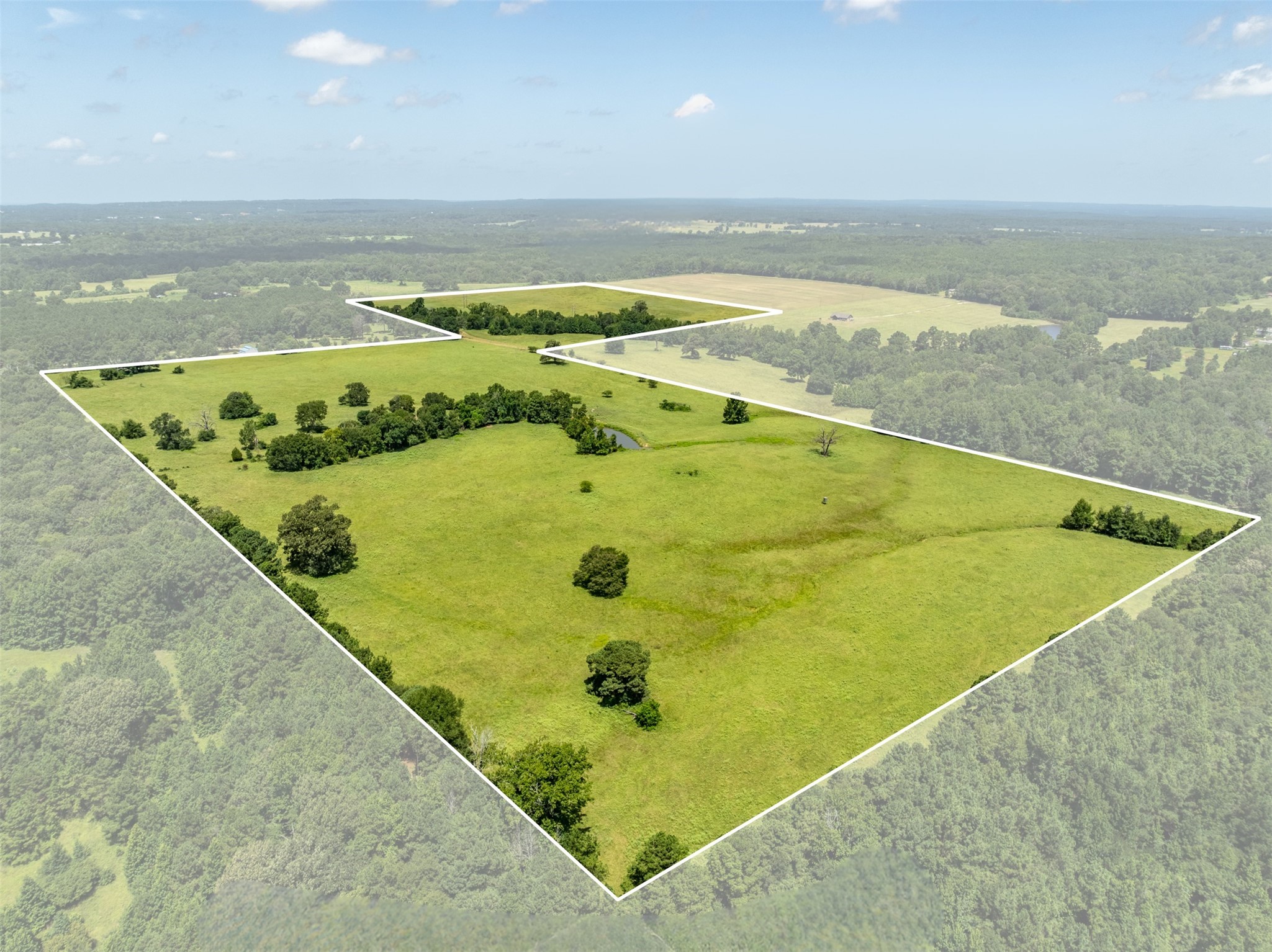 1044 Acr 379 Palestine TX 75801