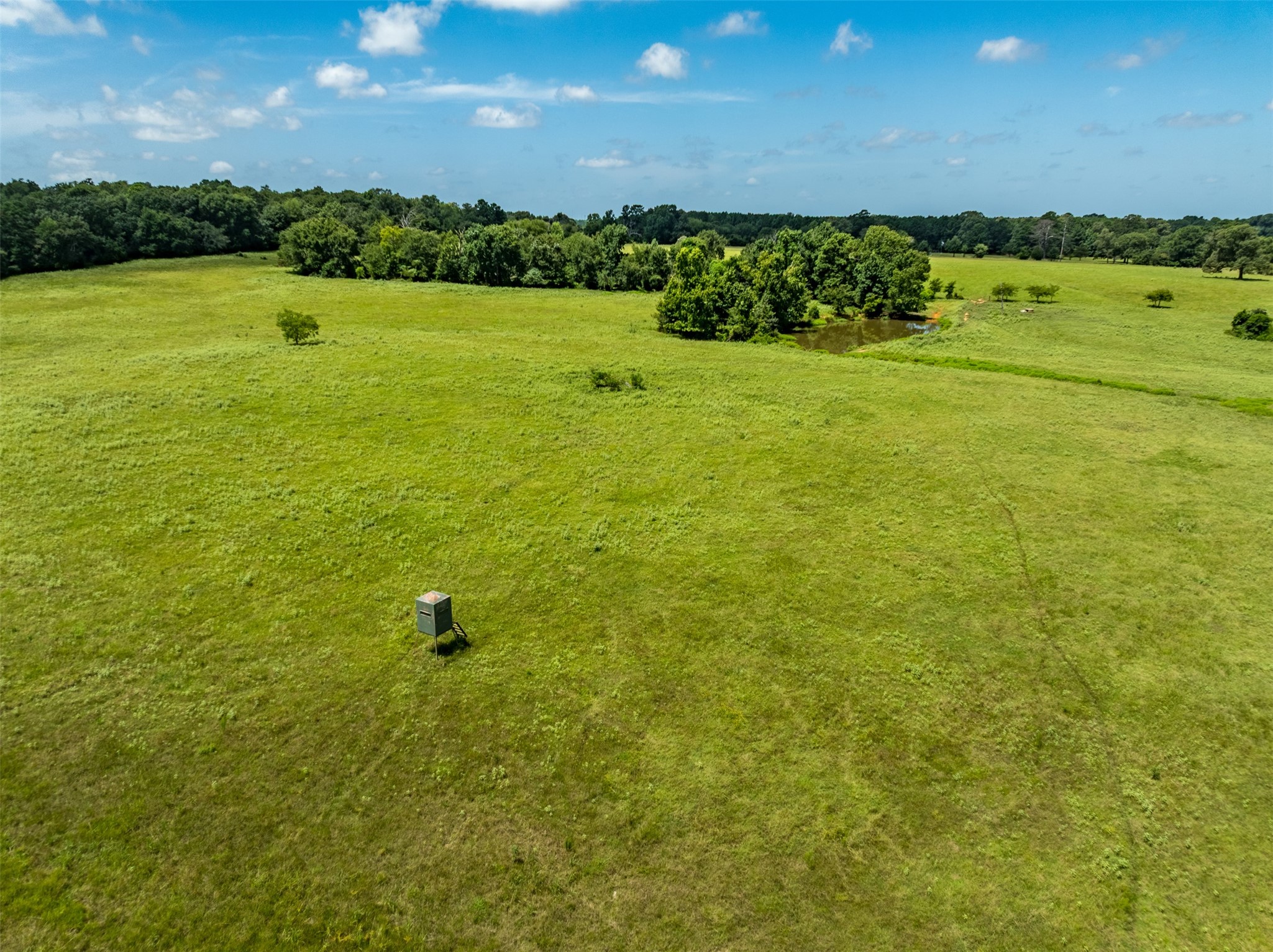 1044 Acr 379 Palestine TX 75801