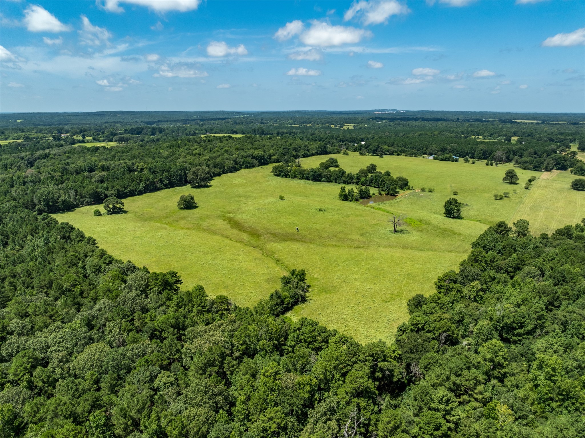 1044 Acr 379 Palestine TX 75801