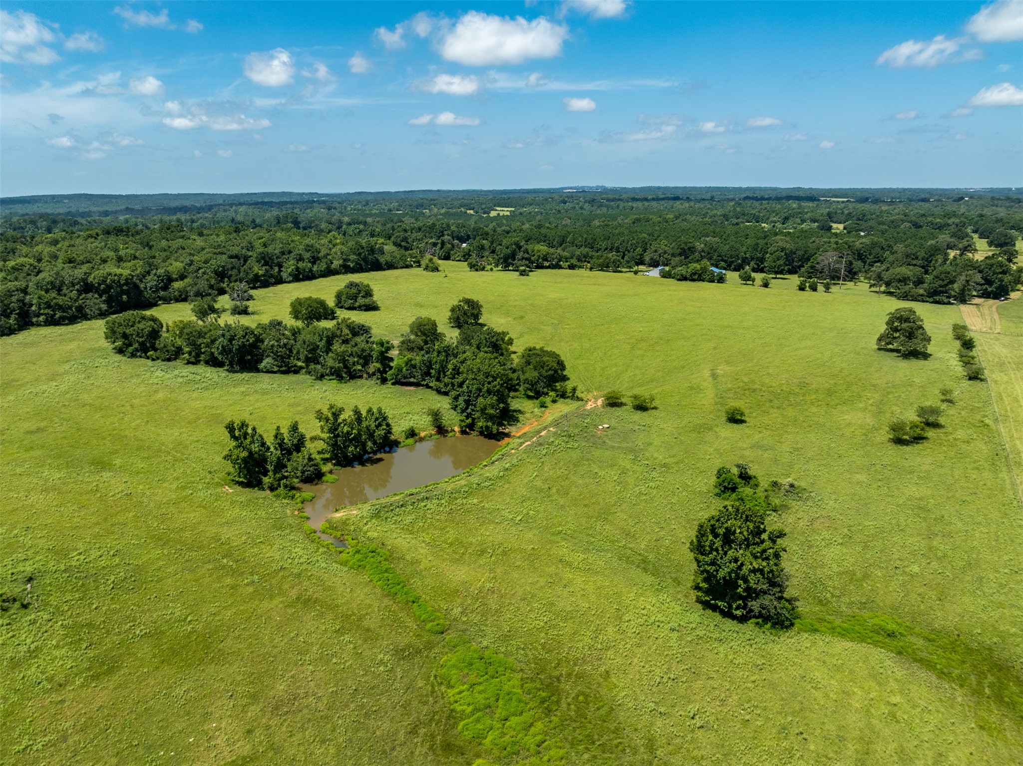 1044 Acr 379 Palestine TX 75801