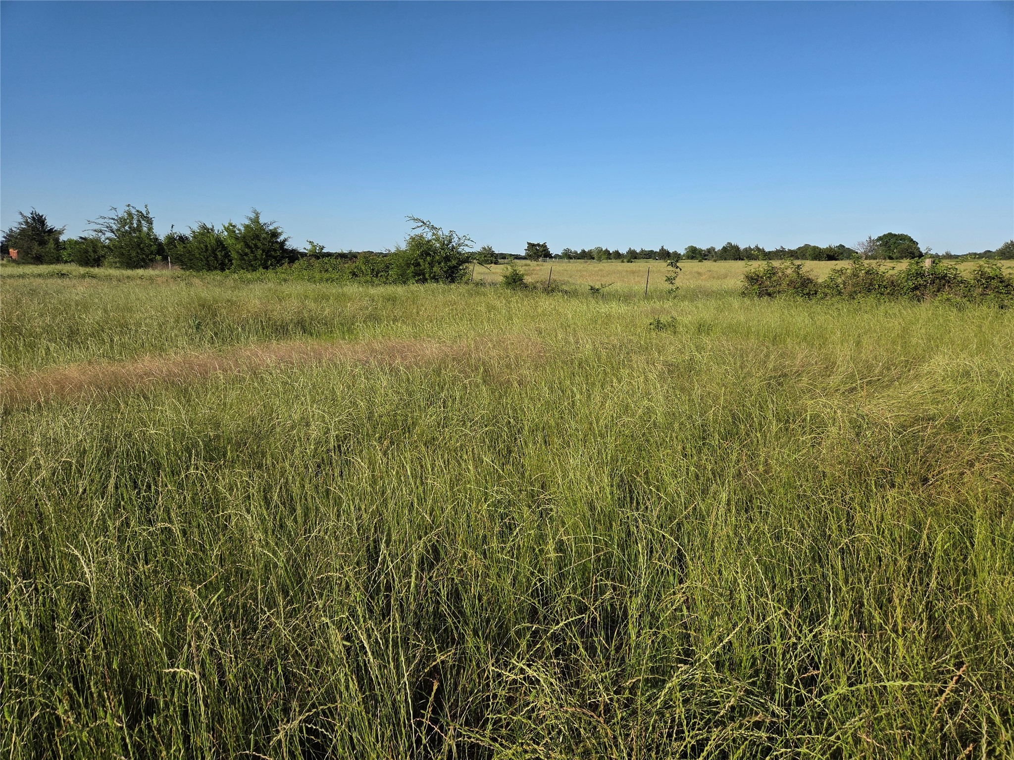 Tbd C. R. 2610 Ivanhoe TX 75447