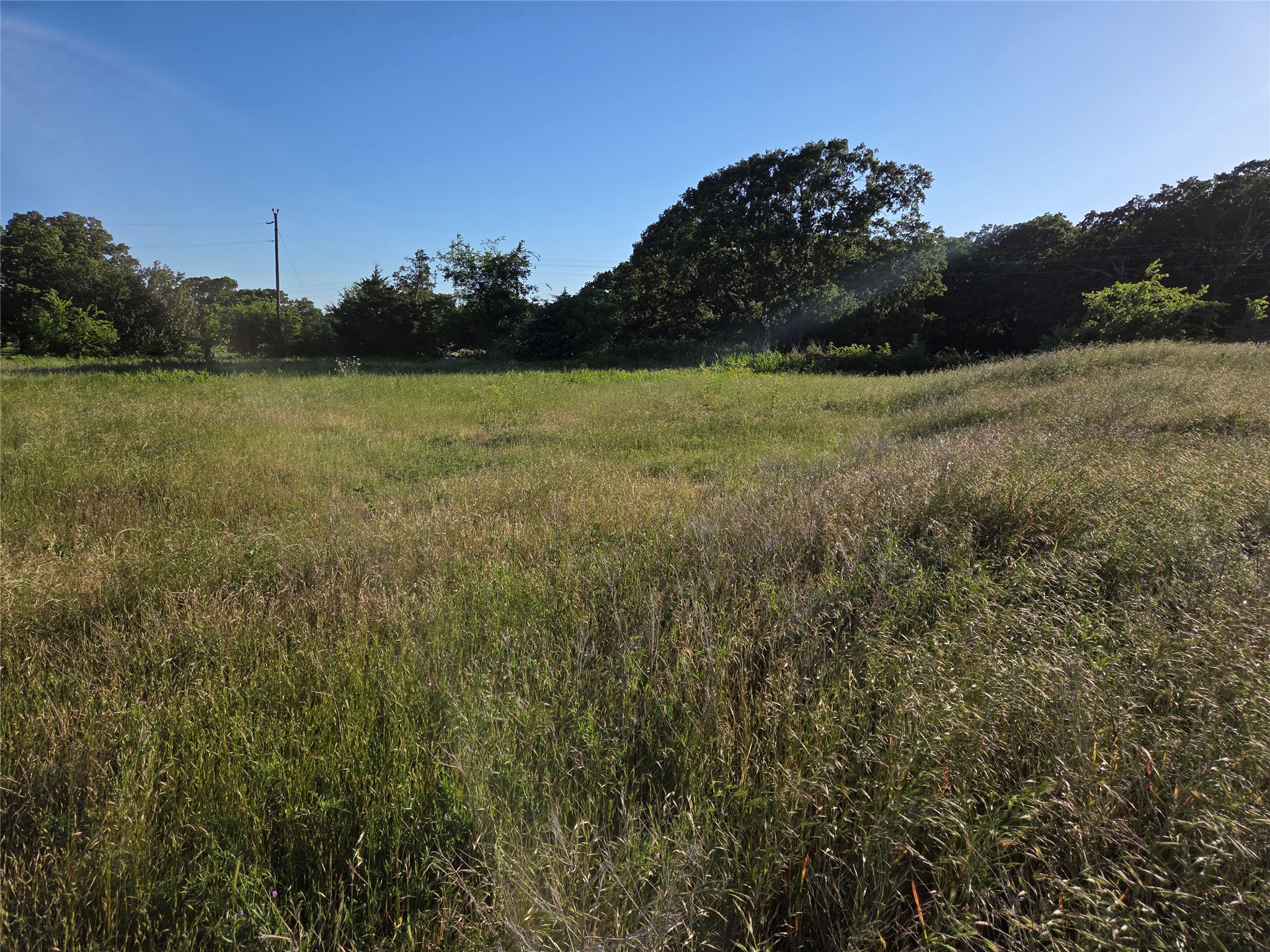 Tbd C. R. 2610 Ivanhoe TX 75447