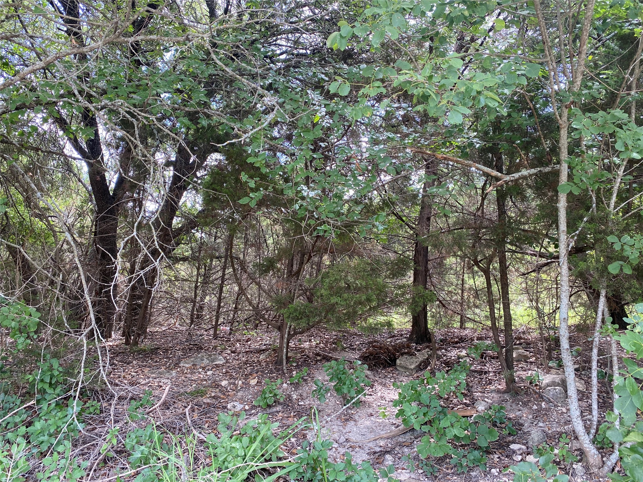 Pr 1032 Tx-p7 Meridian TX 76665