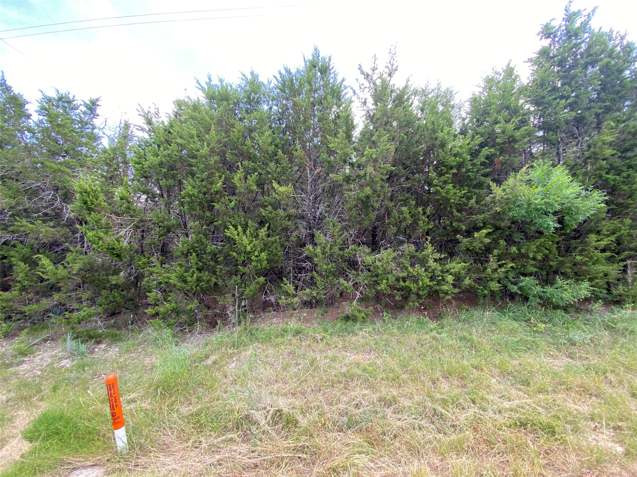 Pr 1032 Tx-p7 Meridian TX 76665