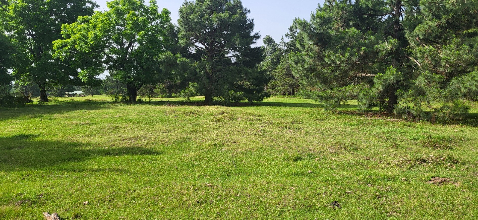 Tbd Cr 1176 Sulphur Springs TX 75482