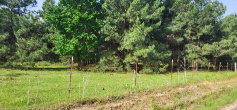 Tbd Cr 1176 Sulphur Springs TX 75482