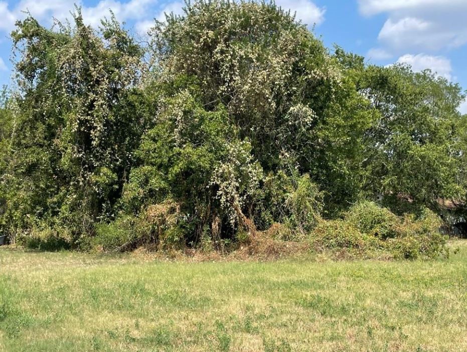1205 Renick Waco TX 76704