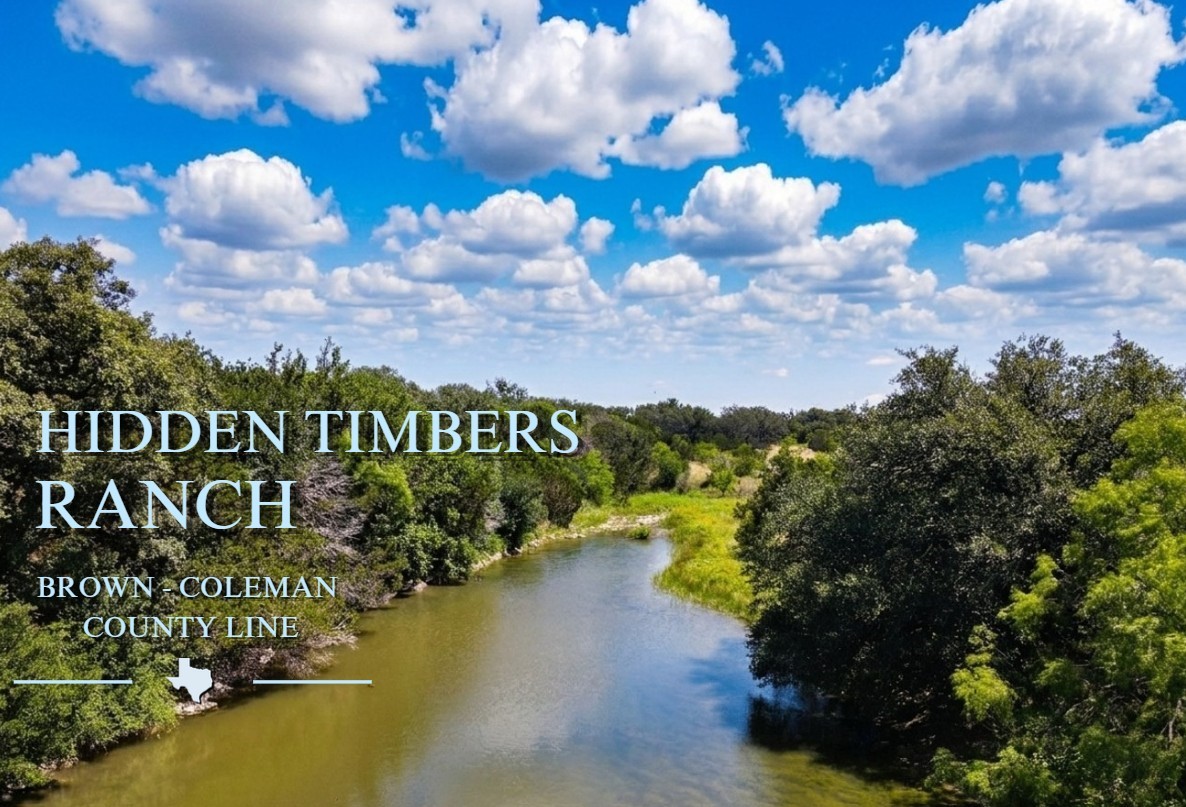 12493 County Road 222 Brookesmith TX 76827