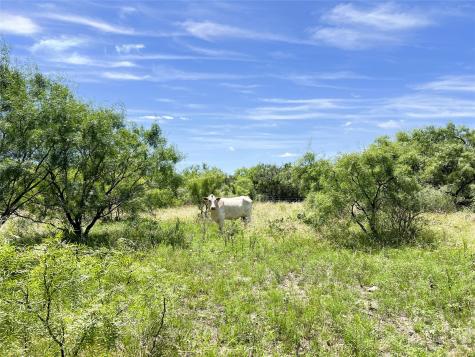 12493 County Road 222 Brookesmith TX 76827
