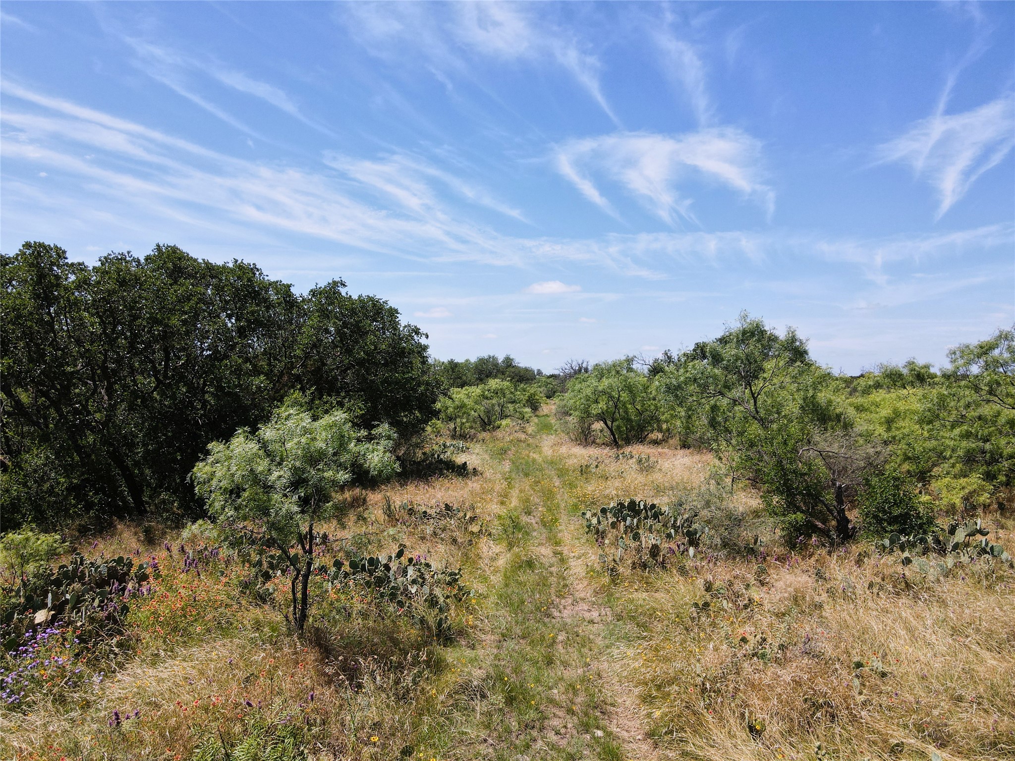 12493 County Road 222 Brookesmith TX 76827