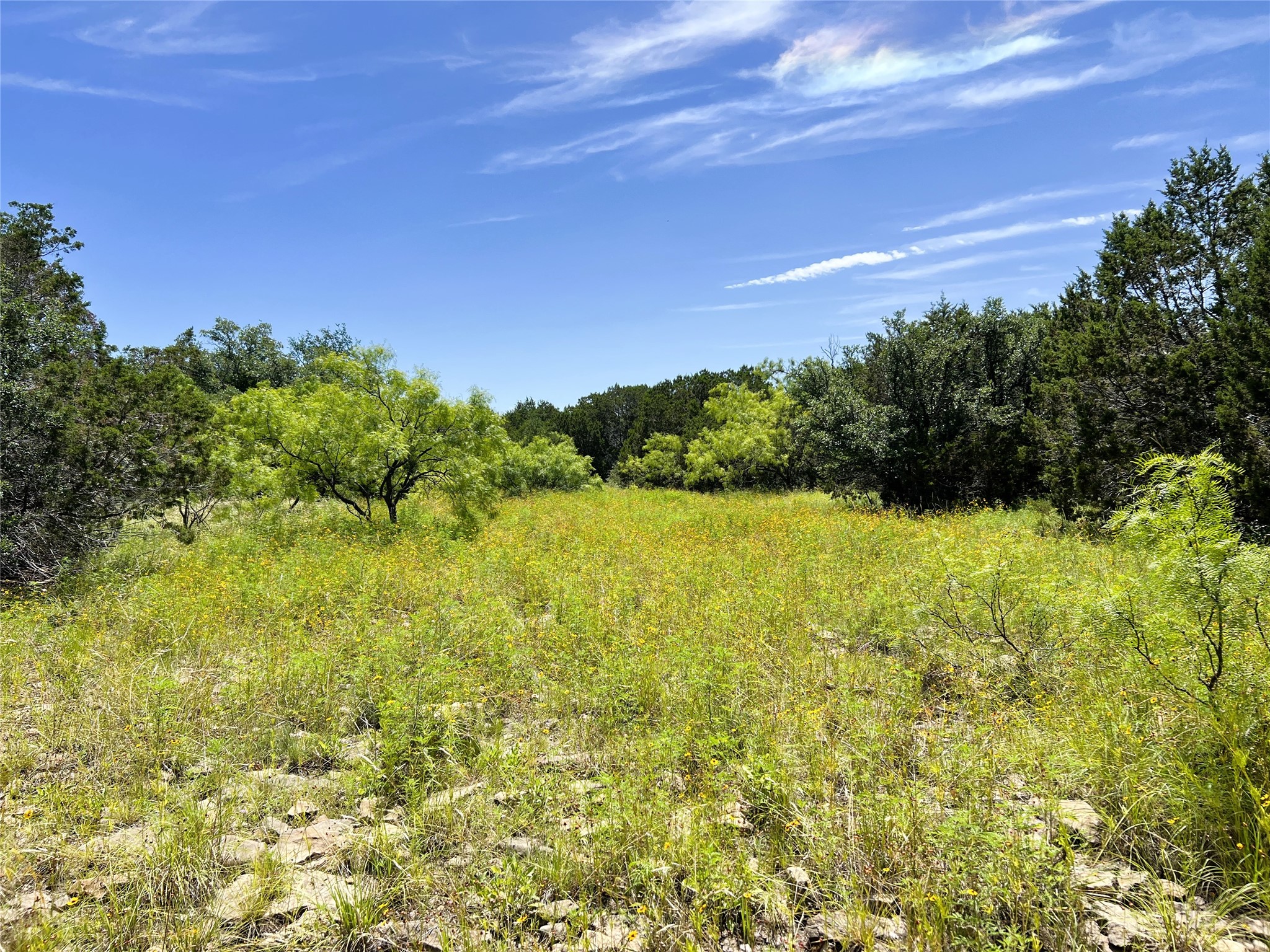 12493 County Road 222 Brookesmith TX 76827