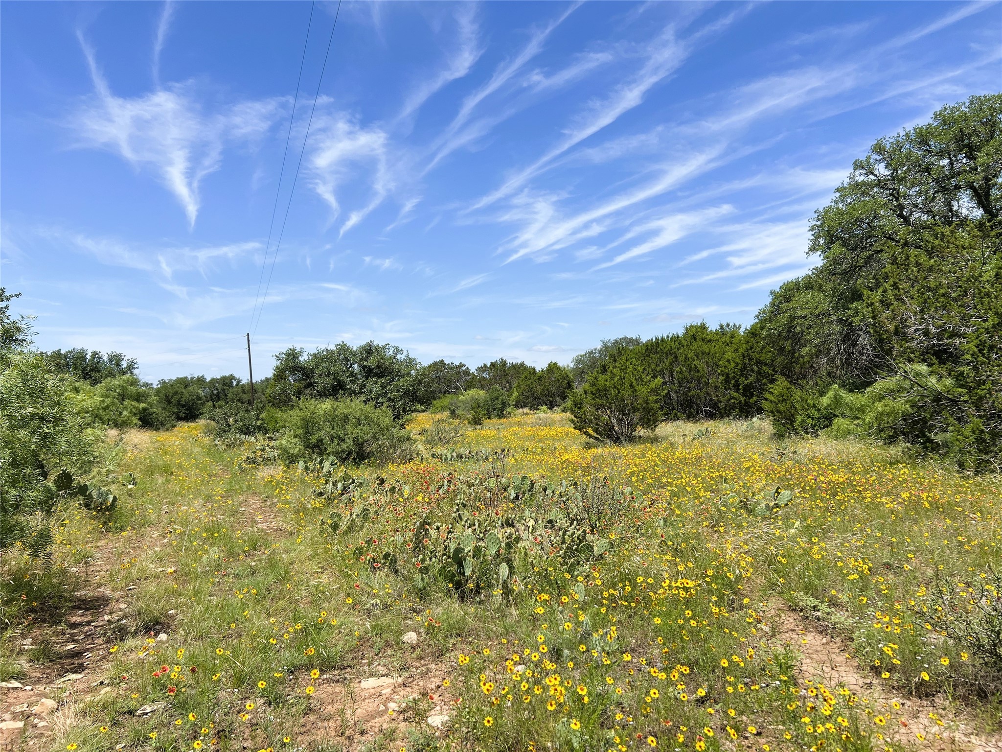 12493 County Road 222 Brookesmith TX 76827