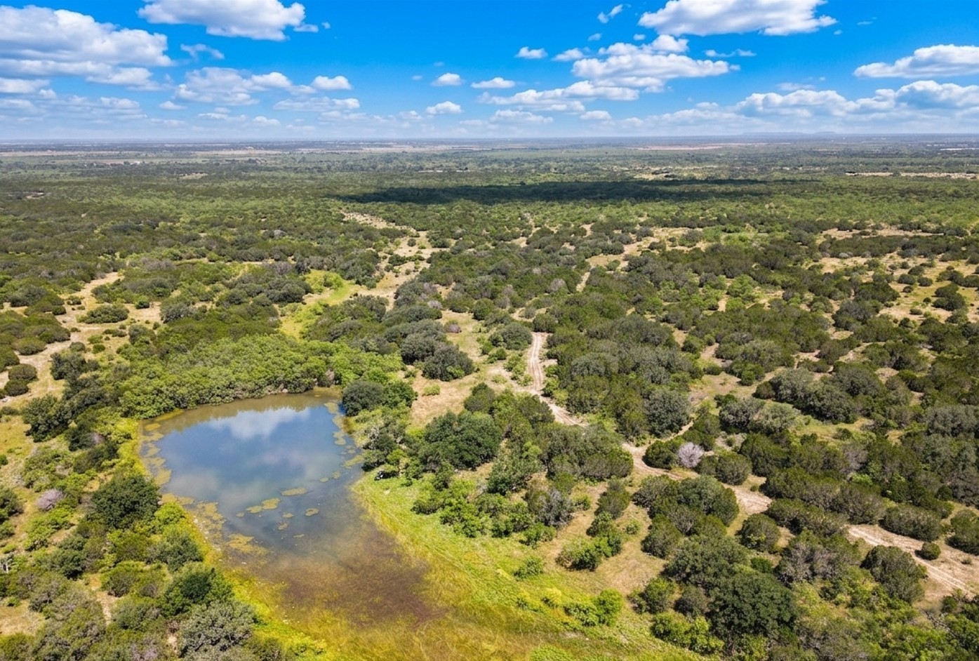 12493 County Road 222 Brookesmith TX 76827