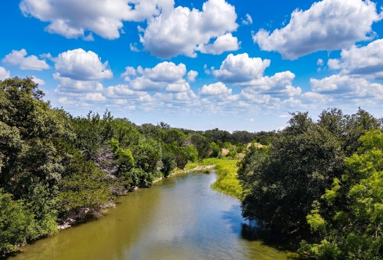 12493 County Road 222 Brookesmith TX 76827