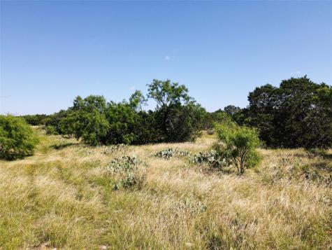 12493 County Road 222 Brookesmith TX 76827