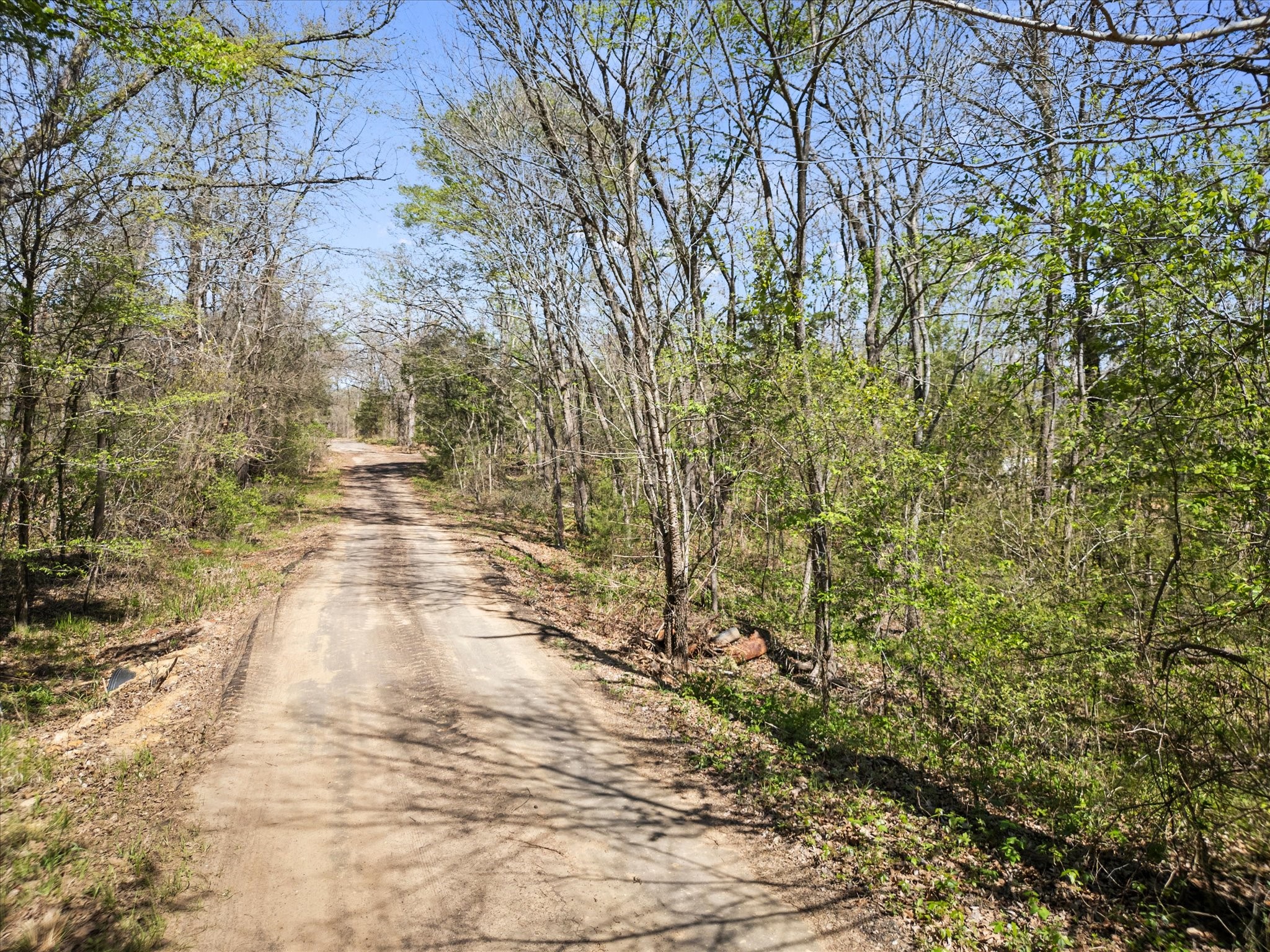 0 County Road 1687 Alba TX 75410