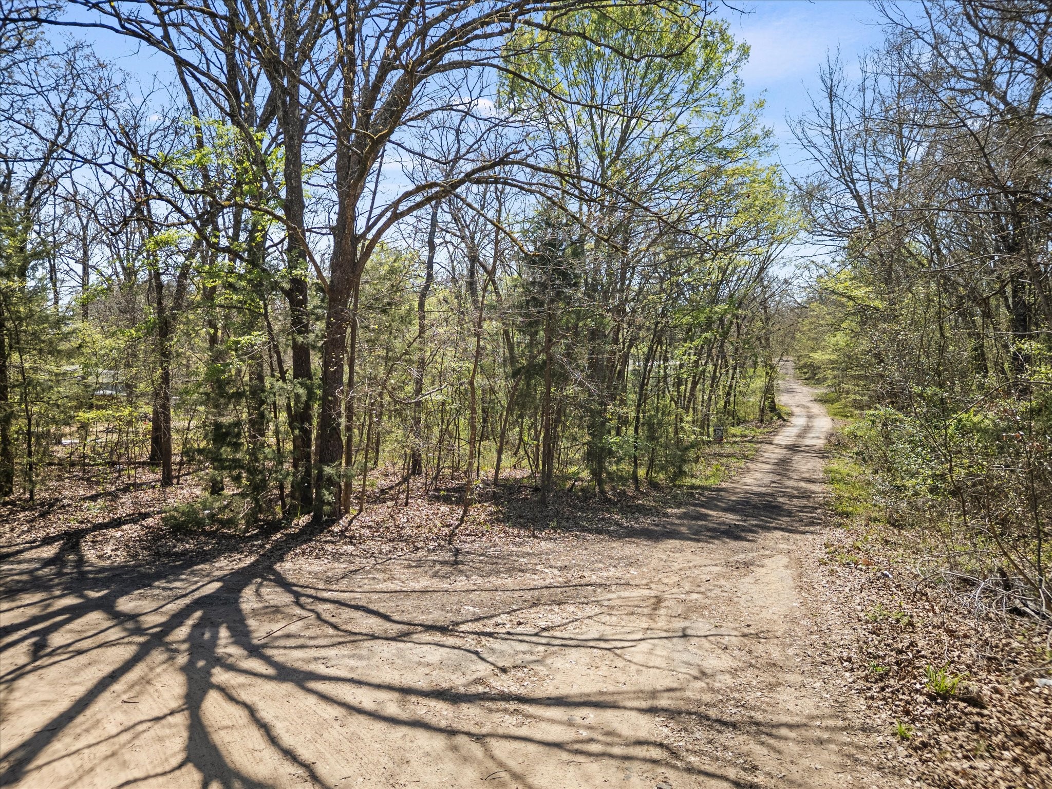 0 County Road 1687 Alba TX 75410