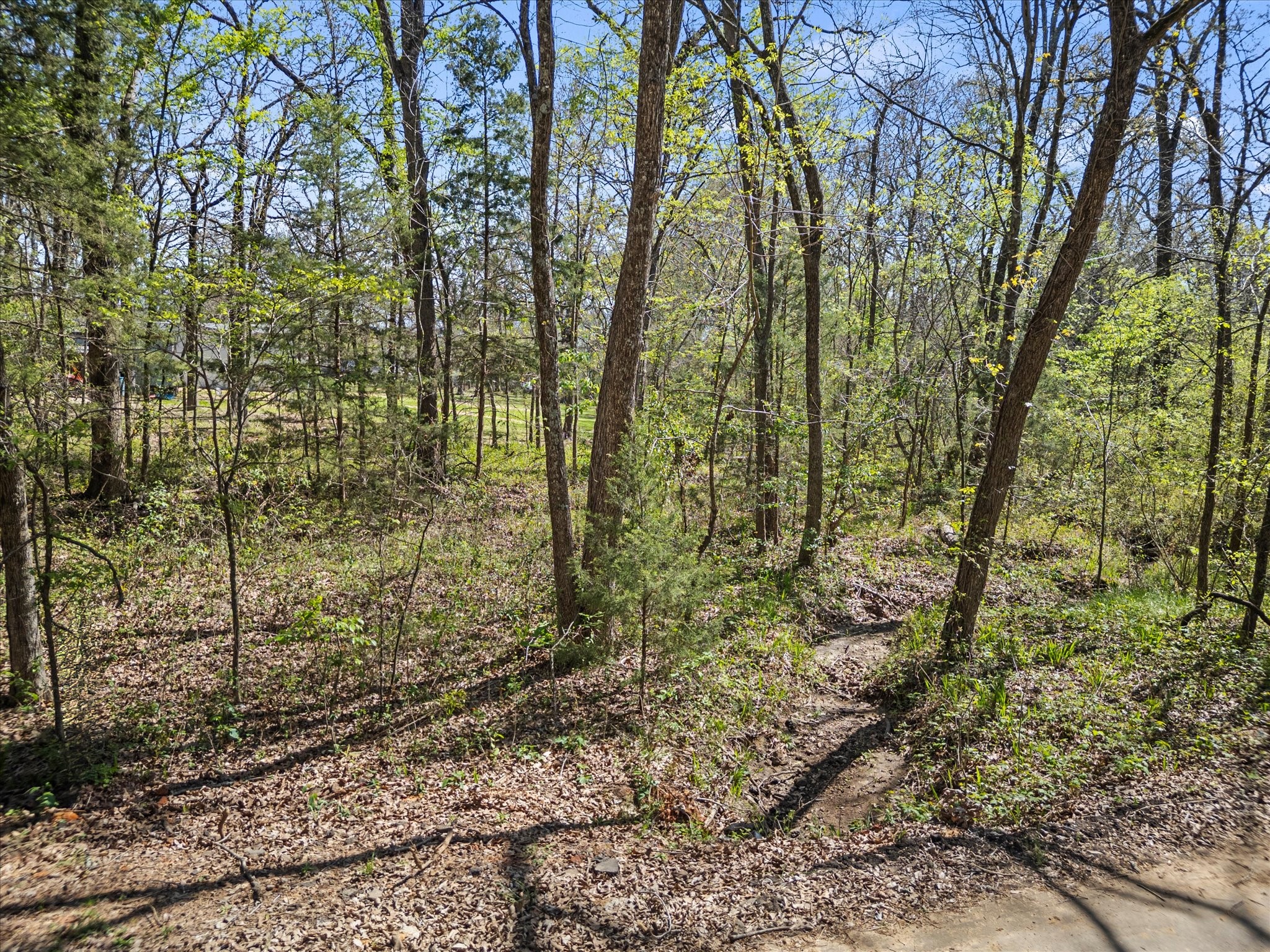 0 County Road 1687 Alba TX 75410