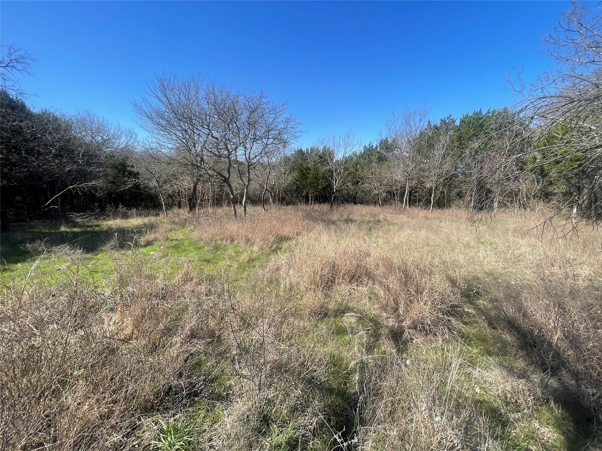 1270 Paint Brush Court Whitney TX 76692
