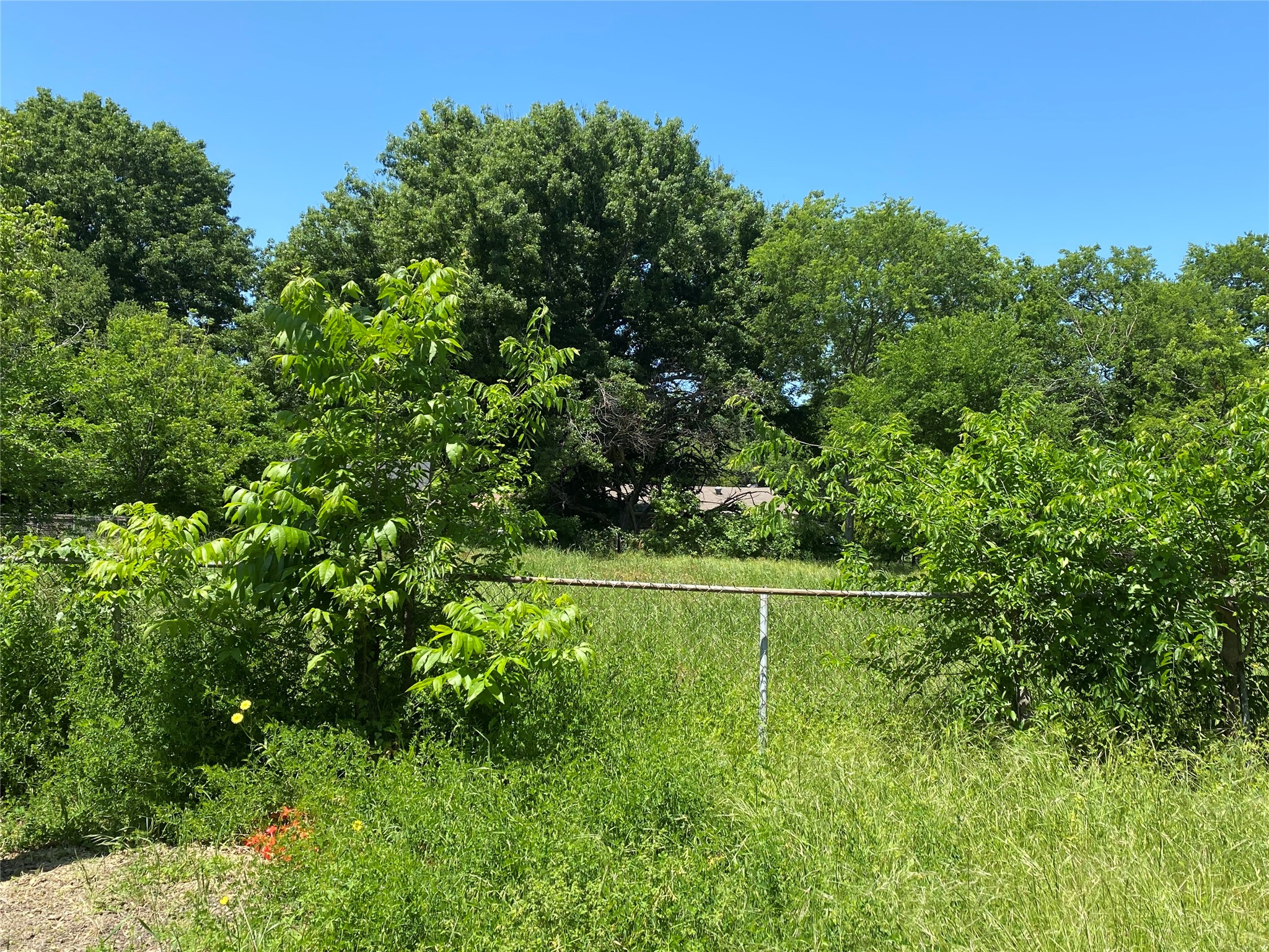 2016 W 13th Avenue Corsicana TX 75110