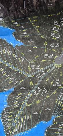 31 Lot 31 & 31a Quitman TX 75783