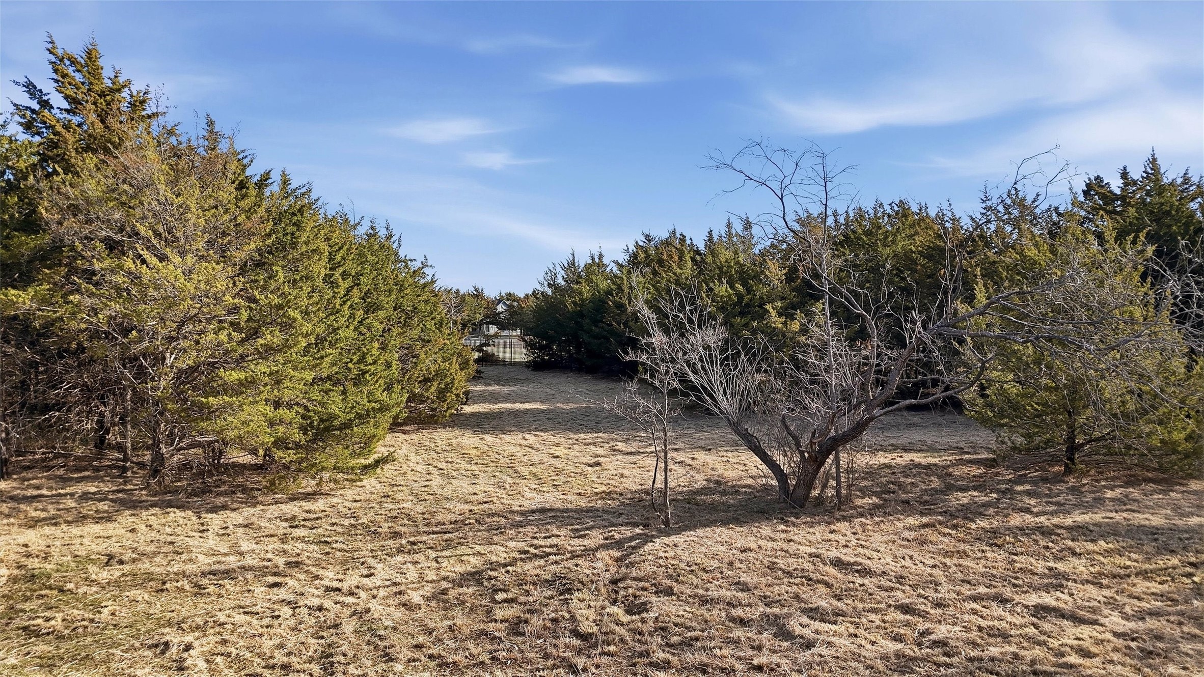 497 Brandon Way Pottsboro TX 75076