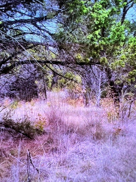 8109 Scotscraig Drive Cleburne TX 76033